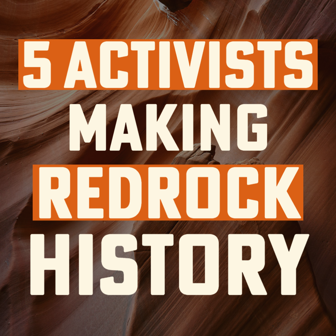 Activists Making History Graphic