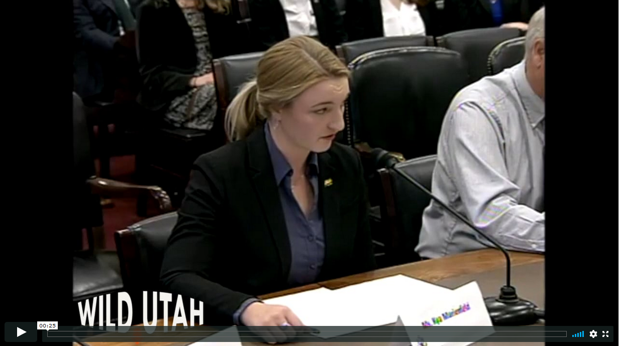 Kya Marienfeld Testifying Before Congressional Committee