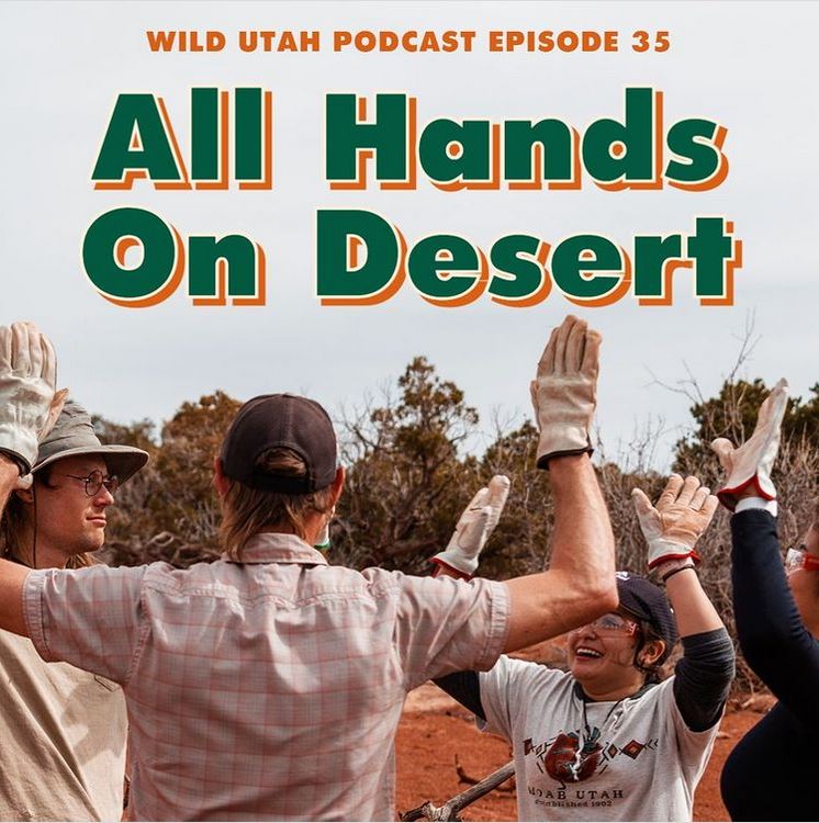All Hands on Desert Podcast Graphic