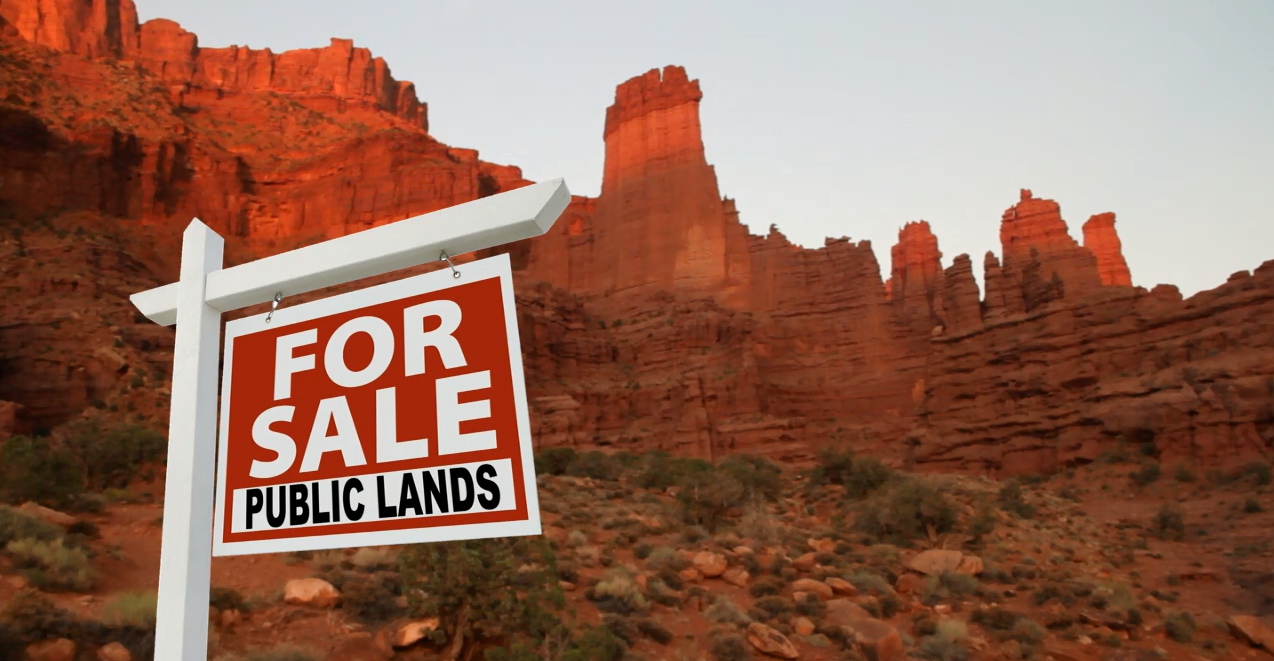 Public Lands for Sale Sign