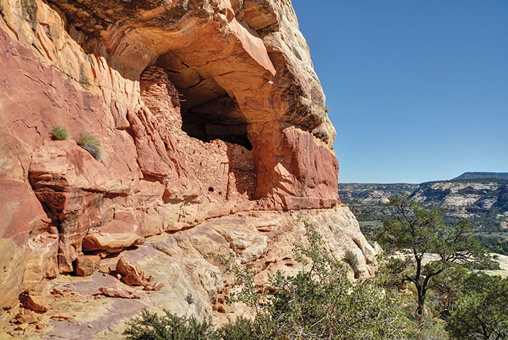 Cliff Dwelling in Bears Ears/Greater Canyonlands