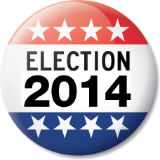 Election 2014 button