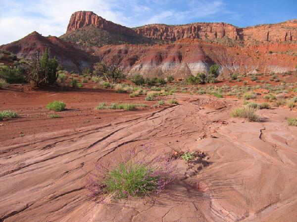 Red Rock Plateau